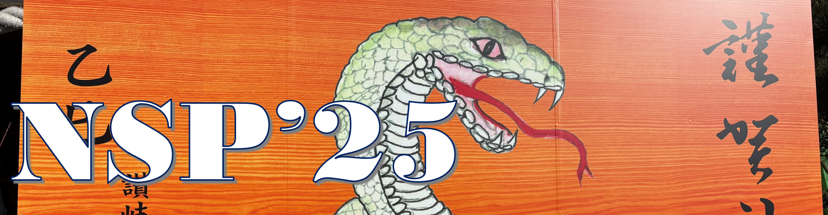 NSP2025 title